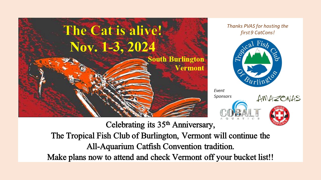 CatCon 2025 Tropical Fish Club of Burlington, VT