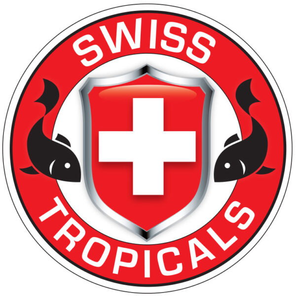 AllAquarium Catfish Convention 2024 Tropical Fish Club of Burlington